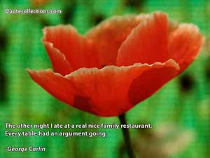 George Carlin Quotes 4